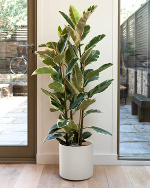 12" Ceramic Plant Pot, Large Indoor Outdoor Planter for Plants, Mid-Century Modern White Flower Pot with Drainage Hole and Plug (Plant Not Included)