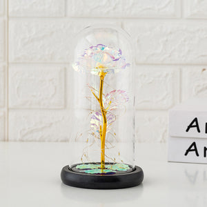 Preserved flower glass cover rose flower glass cover gift gifts