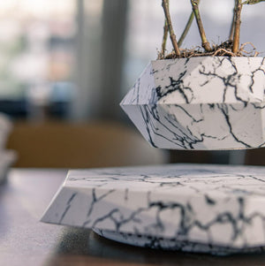 Floating Plant Pot Planter Suspension Air Bonsai Pot Flower Pot Levitating Plant