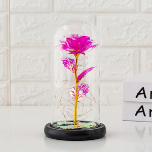 Preserved flower glass cover rose flower glass cover gift gifts