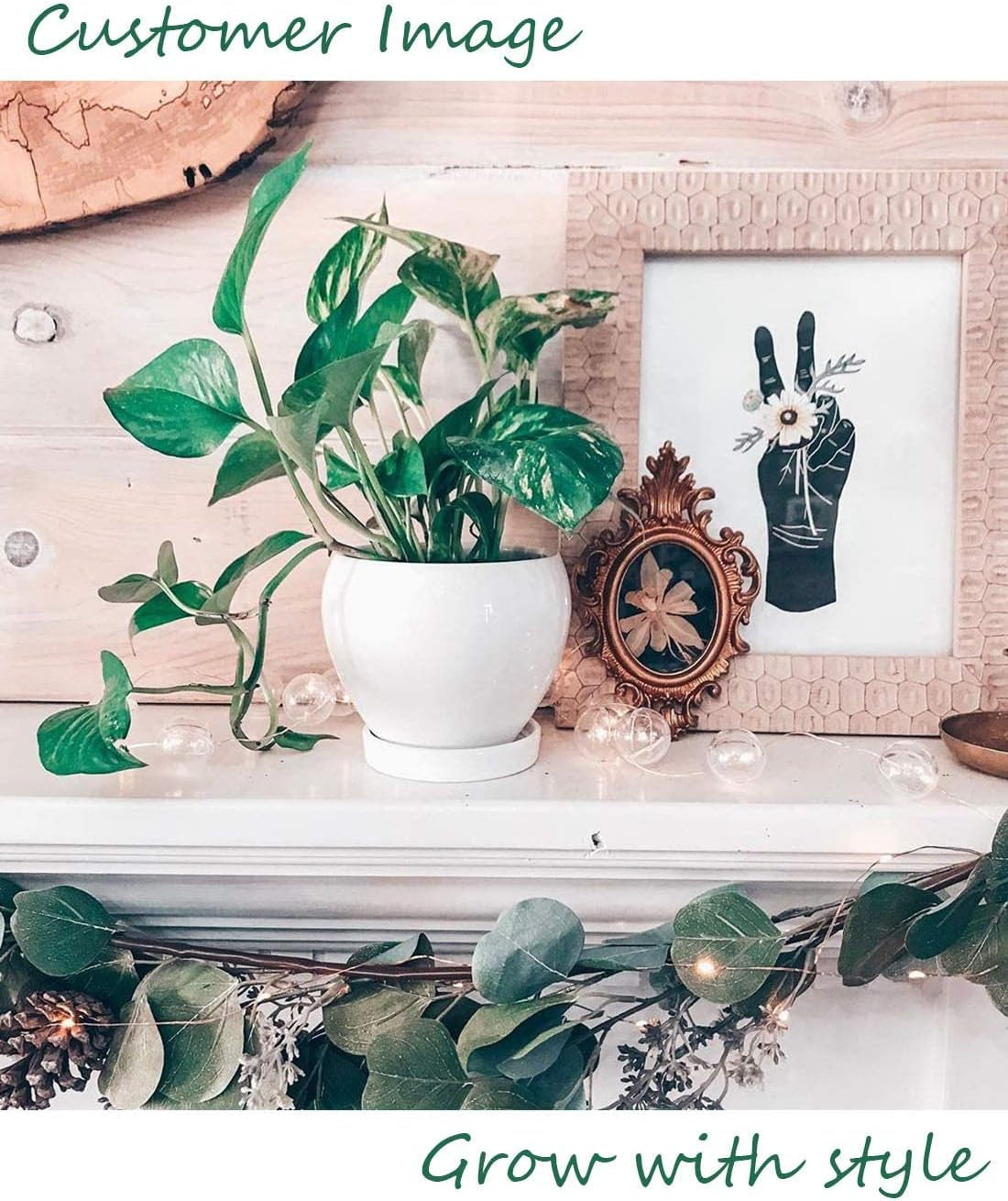 050601 Ceramic Plant Pot Planter - 4.8 Inch White Planters for Indoor Plants Flower Succulent with Drainage Hole Saucer