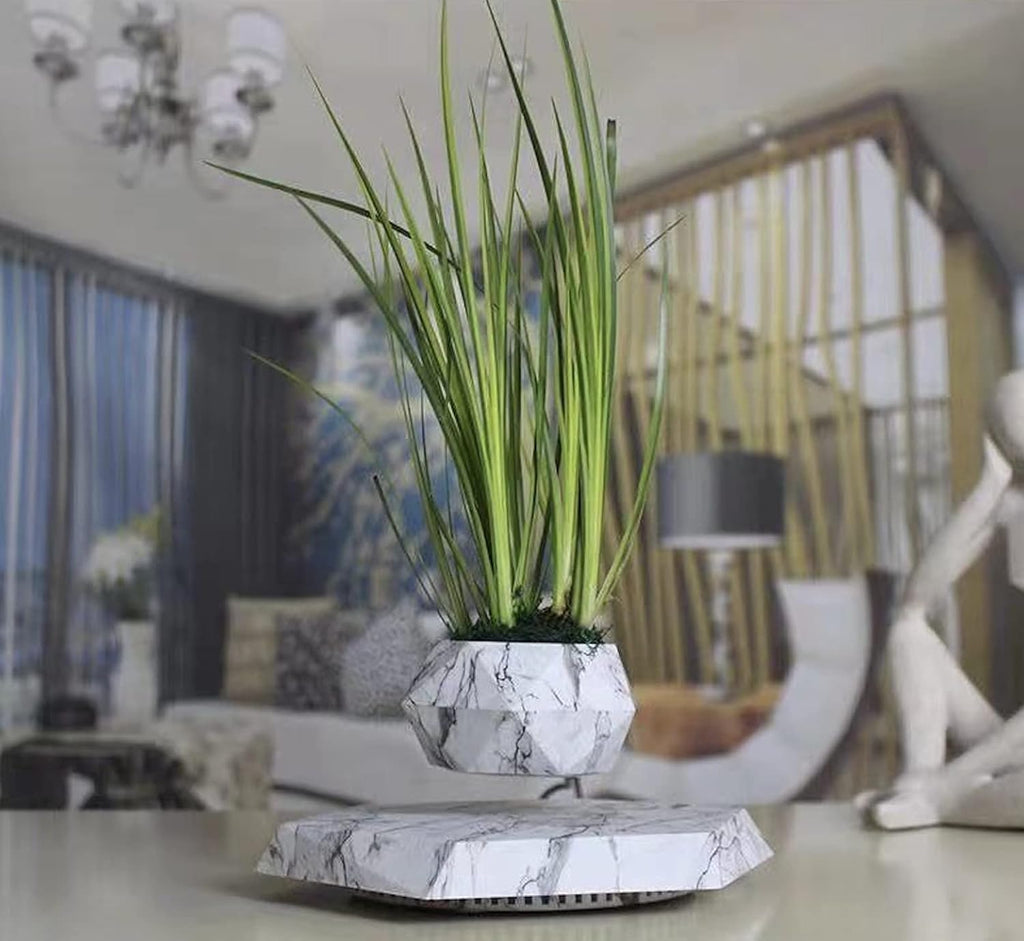 Floating Plant Pot Planter Suspension Air Bonsai Pot Flower Pot Levitating Plant