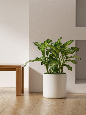 12" Ceramic Plant Pot, Large Indoor Outdoor Planter for Plants, Mid-Century Modern White Flower Pot with Drainage Hole and Plug (Plant Not Included)