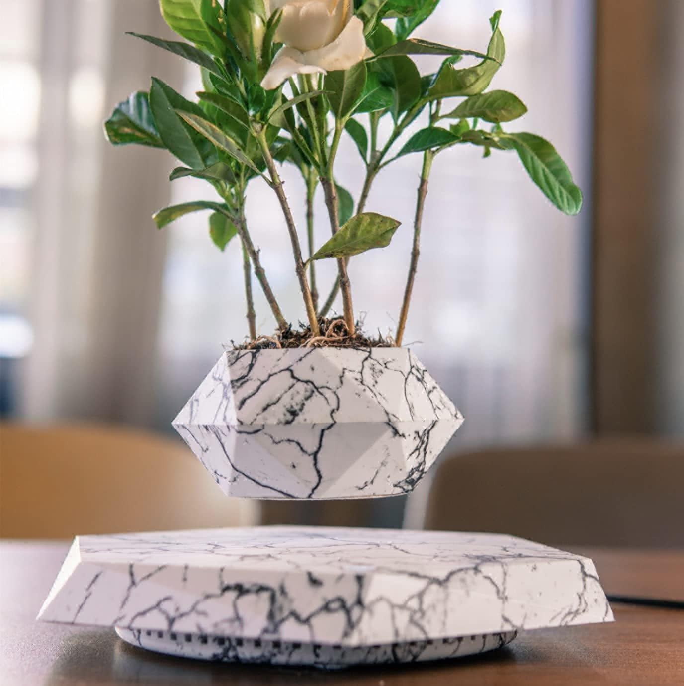 Floating Plant Pot Planter Suspension Air Bonsai Pot Flower Pot Levitating Plant
