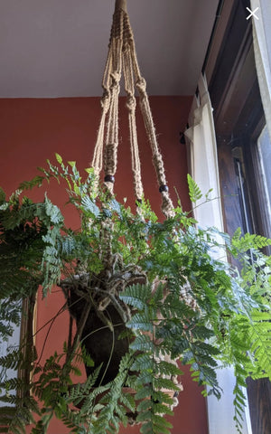 2PACK 43 Inches Macrame Planter Hanger Large for up to 12 Inch Pot + Swag Hook | Extra Long, No Tassel, Jute Rope | Hanging Planter for Indoor Plants, No Pot/Plant Included (Brown)