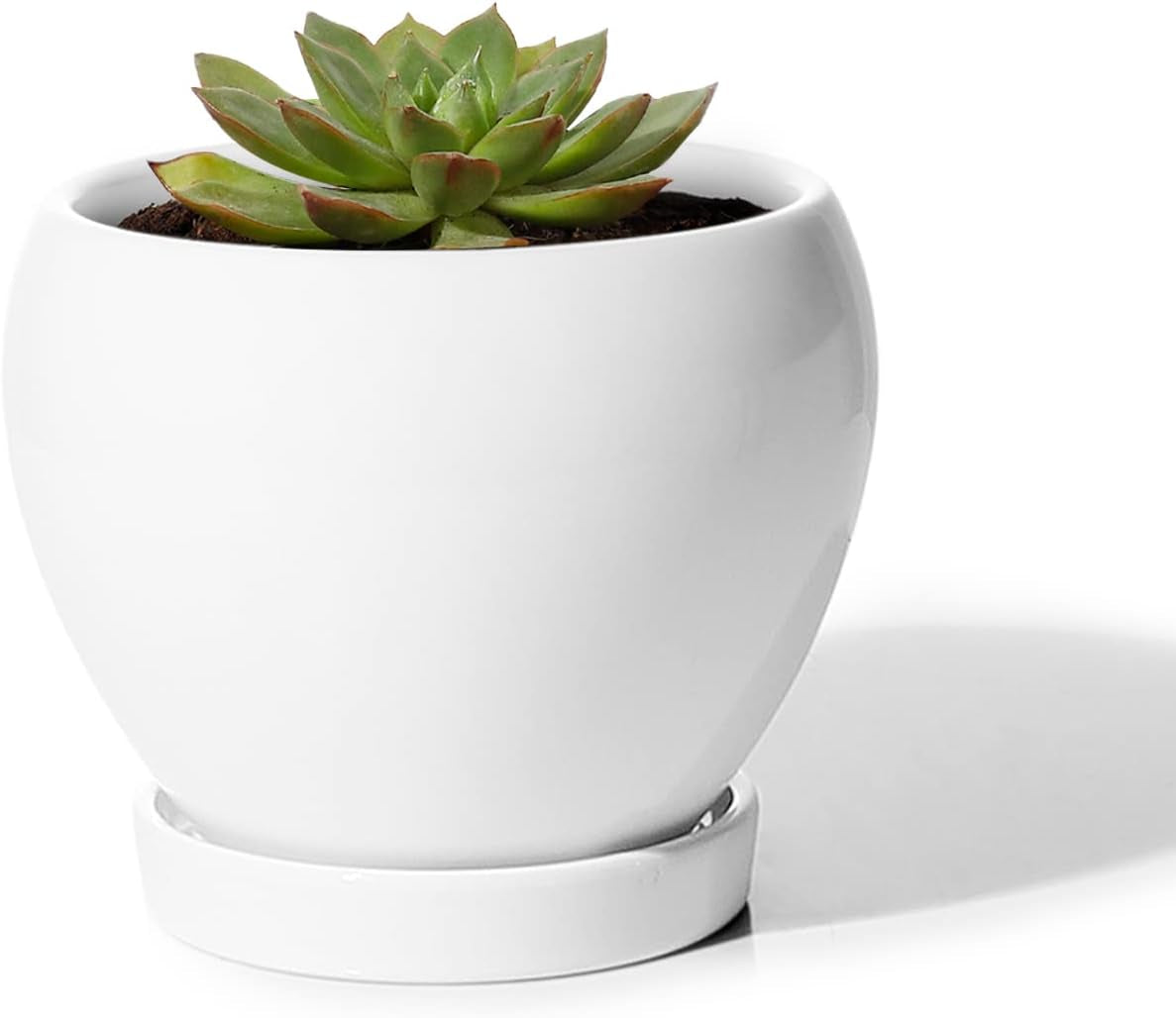050601 Ceramic Plant Pot Planter - 4.8 Inch White Planters for Indoor Plants Flower Succulent with Drainage Hole Saucer